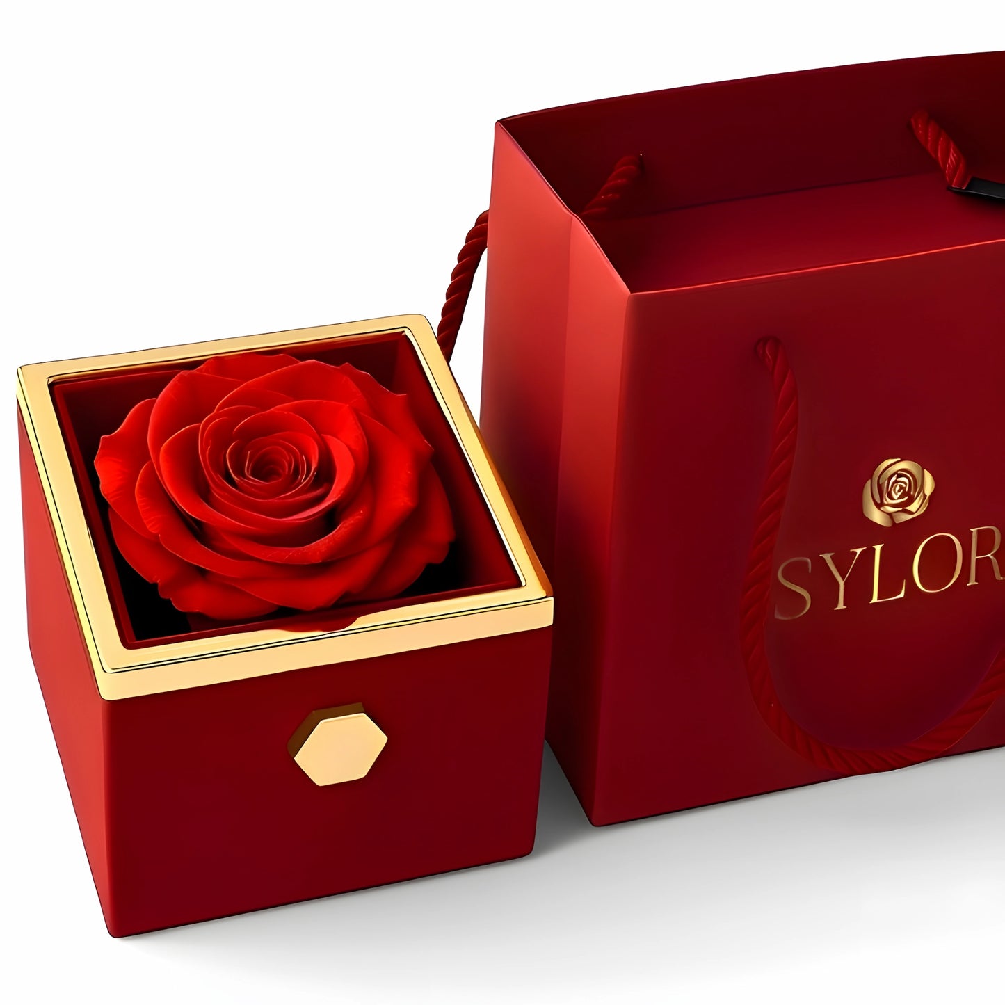 Caja de Rosa Eterna | Rosa Real y Pulsera Venchi Inicial