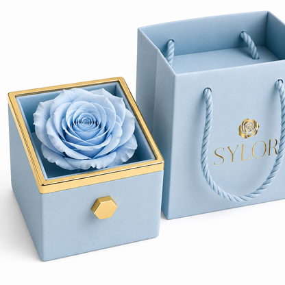 Caja de Rosa Eterna | Rosa Real y Collar Personalizado en Oro 18k (Copia)