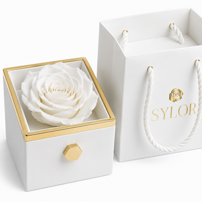 Caja de Rosa Eterna | Rosa Real y Collar Personalizado en Oro 18k (Copia)