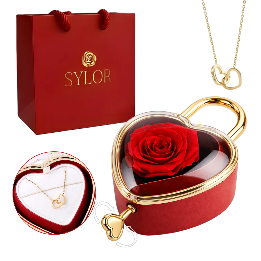 Candado Eterno y Collar Personalizado en Oro 18k