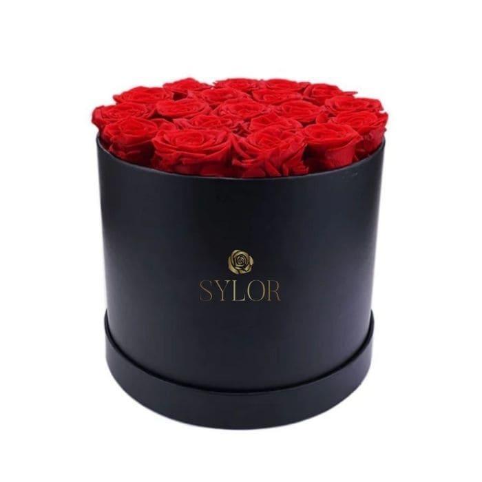 Rosas Eternas Favore - SYLOR