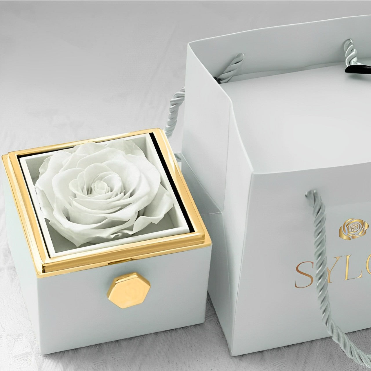 Caja de Rosa Eterna | Rosa Real y Collar Personalizado en Oro 18k