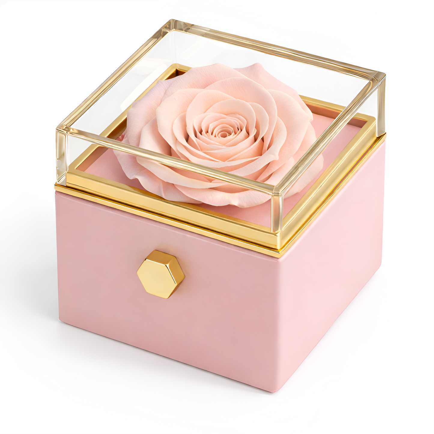 Caja de Rosa Eterna |  Rosa Real y Pulsera Eslabones Unidos