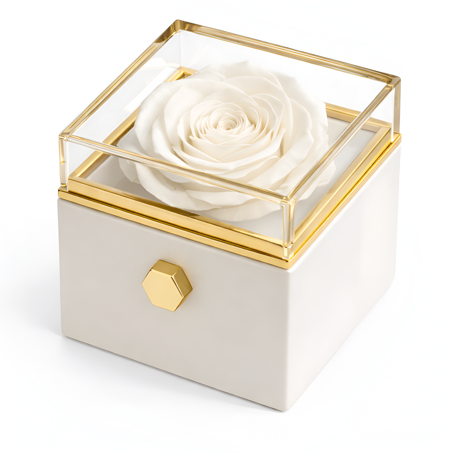 Caja de Rosa Eterna |  Rosa Real y Pulsera Eslabones Unidos