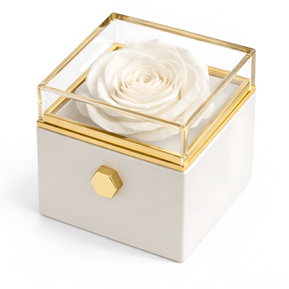 Caja de Rosa Eterna |  Rosa Real y Pulsera Eslabones Unidos