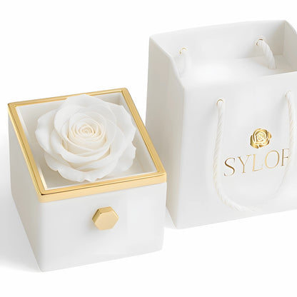 Caja de Rosa Eterna | Rosa Real y Collar Personalizado en Oro 18k